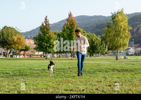 Vollkörper von männlichem Besitzer und Border Collie laufen zusammen auf grünem Gras an sonnigen Sommertagen in bergigen Dorf Stockfoto