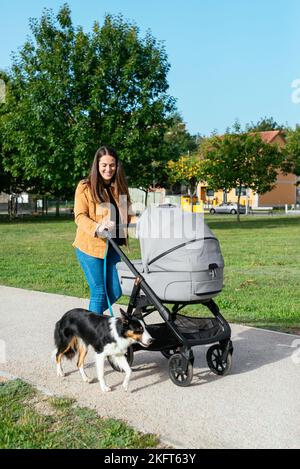 Lächelnde Frau in legerer Kleidung, die am sonnigen Tag mit Border Collie und der Babykutsche auf dem Gehweg im Park spazieren geht Stockfoto