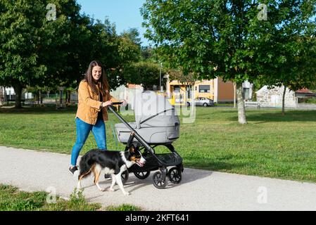 Lächelnde Frau in legerer Kleidung, die am sonnigen Tag mit Border Collie und der Babykutsche auf dem Gehweg im Park spazieren geht Stockfoto