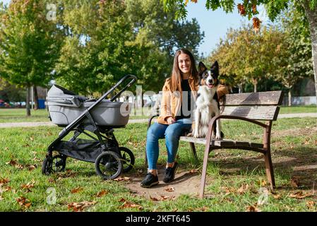 Ganzer Körper der positiven Frau in legerer Kleidung sitzt mit Border Collie auf der Bank in der Nähe von Baby-Wagen im Park an sonnigen Tag Stockfoto