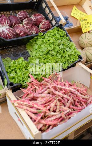 Von oben Zusammensetzung von verschiedenen frischen Bohnen in Schoten Salat und Radicchio auf Stall auf dem lokalen Markt platziert Stockfoto