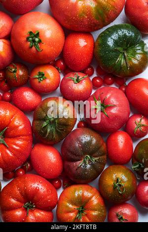 Von oben appetitlich frische reife Tomaten mit Tropfen Wasser in der Nähe von Zweig mit grünen Blättern Stockfoto