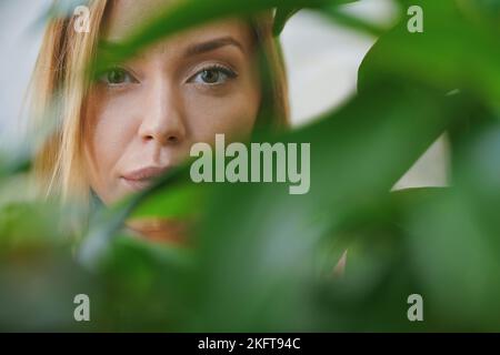 Porträt der Ernte junge Weibchen mit Hasel Augen Blick auf die Kamera durch grüne Blätter der häuslichen Pflanze Stockfoto
