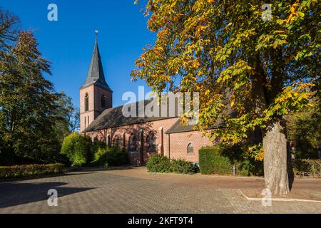 Deutschland, Vreden, Berkel, Westmuensterland, Münsterland, Westfalen, Nordrhein-Westfalen, NRW, Vreden-Ellewick-Crosewick, katholische Pfarrkirche Heilig-Kreuz, auch Kirchenüberhöhung, Backsteinbau, Neugotik, Spätsommer, Herbstfärbung Stockfoto