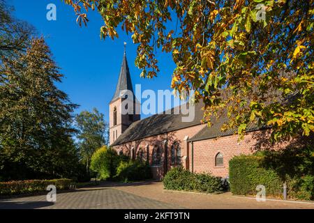 Deutschland, Vreden, Berkel, Westmuensterland, Münsterland, Westfalen, Nordrhein-Westfalen, NRW, Vreden-Ellewick-Crosewick, katholische Pfarrkirche Heilig-Kreuz, auch Kirchenüberhöhung, Backsteinbau, Neugotik, Spätsommer, Herbstfärbung Stockfoto