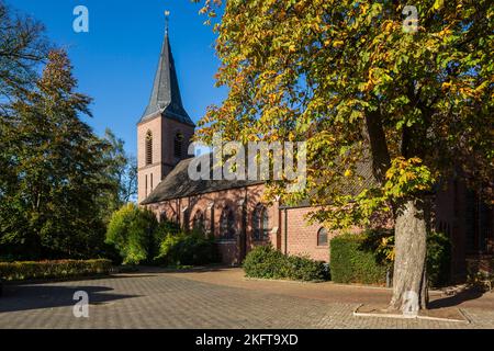 Deutschland, Vreden, Berkel, Westmuensterland, Münsterland, Westfalen, Nordrhein-Westfalen, NRW, Vreden-Ellewick-Crosewick, katholische Pfarrkirche Heilig-Kreuz, auch Kirchenüberhöhung, Backsteinbau, Neugotik, Spätsommer, Herbstfärbung Stockfoto