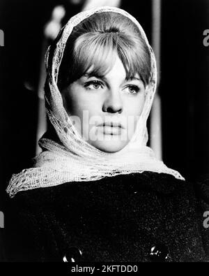 JULIE CHRISTIE in DOKTOR ZHIVAGO (1965), Regie: DAVID LEAN. Kredit: CARLO PONTI/MGM / Album Stockfoto