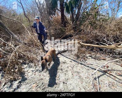 Sanibel Island, FL, USA--10/06/2022-- die FEMA-Teams für städtische Such- und Rettungsdienste führen zusätzliche Suchanfragen in Gebieten durch, die von dem von dem US-amerikanischen Projekt „Ian“ betroffenen“ betroffen sind. Jocelyn Augustino/FEMA Stockfoto
