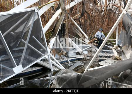 Sanibel Island, FL, USA--10/06/2022-- die FEMA-Teams für städtische Such- und Rettungsdienste führen zusätzliche Suchanfragen in Gebieten durch, die von dem von dem US-amerikanischen Projekt „Ian“ betroffenen“ betroffen sind. Jocelyn Augustino/FEMA Stockfoto