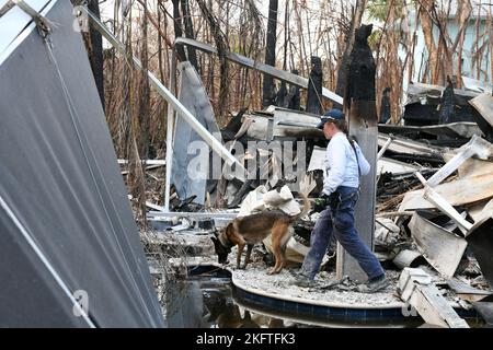 Sanibel Island, FL, USA--10/06/2022-- die FEMA-Teams für städtische Such- und Rettungsdienste führen zusätzliche Suchanfragen in Gebieten durch, die von dem von dem US-amerikanischen Projekt „Ian“ betroffenen“ betroffen sind. Jocelyn Augustino/FEMA Stockfoto