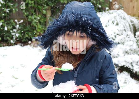 Ein junges Mädchen, das mit einem weißen Welpen im Schnee spielt Stockfoto