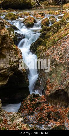 Ein Bach, der durch die wunderschöne Mostnica-Schlucht im Nationalpark Triglav fließt, der sich in den Julischen Alpen in Slowenien befindet Stockfoto