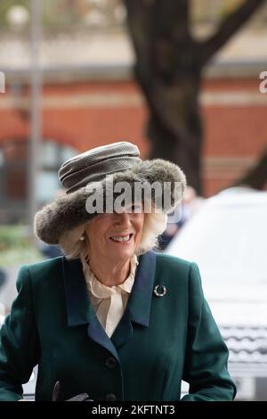 Ascot, Bergen, Großbritannien. 19.. November 2022. Camilla, Queen Consort, die heute Morgen bei Ascot Races für das November Racing Weekend ankommen. Sie wurde von Sir Francis Brooke, dem Vertreter seiner Majestät und Vorsitzenden der Rennbahn Ascot, begrüßt. Quelle: Maureen McLean/Alamy Live News Stockfoto