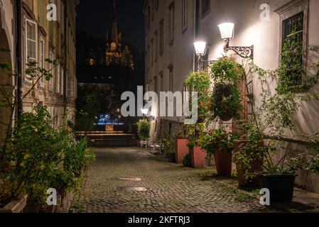 Malerische kleine Krizevniska Gasse in Ljubljana beleuchtet in der Nacht, mit Pflanzen an den Seiten angeordnet, Slowenien Stockfoto