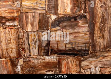 Struktur aus versteinertem Holz. Semi-edles mattes Muster. Exklusiver Luxus Edelstein Hintergrund. Material für einzigartige Innen-, Außen-Design-Dekoration Stockfoto