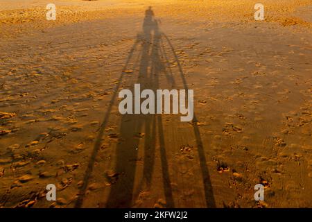 In der Dämmerung wird ein langer Schatten auf den Sand eines Radfahrers geworfen, der an einem Strand entlang fährt Stockfoto