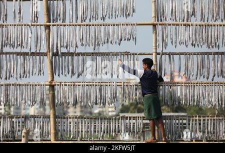 Fische hängen in der Nazirartek Dry Fish Plant in Chattogram, Bangladesch, um getrocknet zu werden. Stockfoto