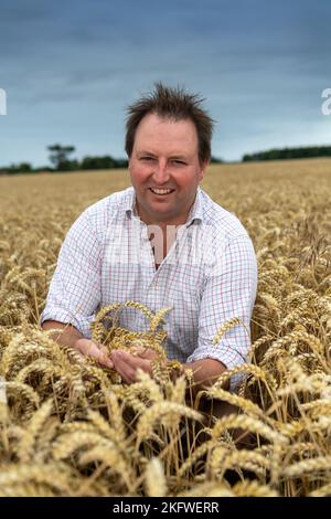 Landwirt, der das Wachstum eines Weizenfeldes überprüft, Northumberland, Großbritannien. Stockfoto