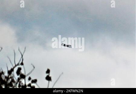 Am 11. Oktober 2022 führt ein Pilot der Luftwaffe ein A-10C Thunderbolt II-Flugzeug auf der South Post in Fort McCoy, Wis., als Teil der Schulungsmaßnahmen bei der Installation über den Luftraum. Mehrere A-10s haben den Start und die Landung auf dem Young Air Assault Strip auf der South Post abgeschlossen und Flugstrecken über die Installation durchgeführt. Laut dem Air Force Factsheet für die A-10C ist die Thunderbolt II das erste Flugzeug der Air Force, das speziell für die Luftunterstützung von Bodenkräften entwickelt wurde. Sie sind einfache, effektive und überlebensfähige zweimotorige Düsenflugzeuge, die gegen leichte maritime Angriffsflugzeuge und alle eingesetzt werden können Stockfoto