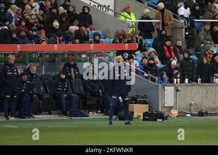 Oslo, Norwegen, 20.. November 2022, Norwegens Manager Ståle Solbakken , Quelle: Frode Arnesen/Alamy Live News Stockfoto