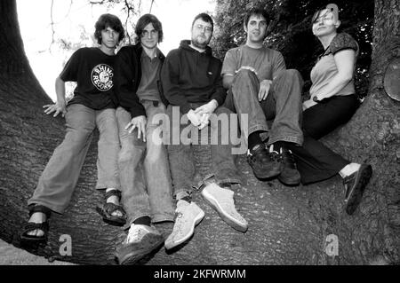 GORKYS ZYGOTIC MYNCI Publicity Fotografien aufgenommen in Cardiff, 30. Juni 2003. Foto: ROB WATKINS. INFO: Gorkys Zygotic Mynci, eine walisische Psychedelic- und Indie-Rock-Band, die von den frühen 90er bis zu den frühen 2000er Jahren aktiv war, kreierte einen skurrilen und eklektischen Sound. Alben wie 'Barafundle' zeigten ihren folkloristischen, mehrsprachigen Ansatz und machten sie einflussreich in den alternativen und Indie-Szenen. Stockfoto