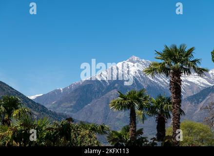 Meran (Meran) in Südtirol: Panoramablick auf den Berg vom Tappeinerweg aus - Trentino Südtirol, Norditalien Stockfoto