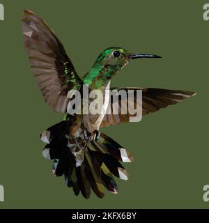 Low-Poly-Kunst der Kolibri Stock Vektor