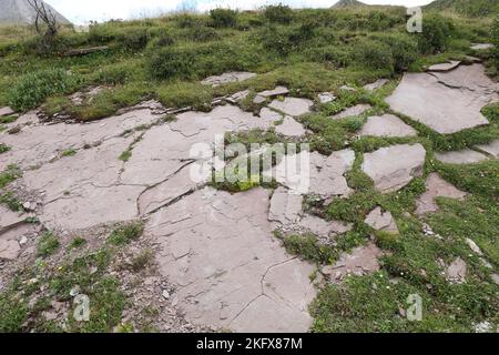 Felsbrocken, die aufgrund der Elemente in den europäischen alpen vom Berg abflachen Stockfoto