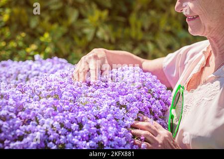 Ältere Frau, die in der Nähe eines großen Blumentopfes mit violetten Blumen steht Stockfoto
