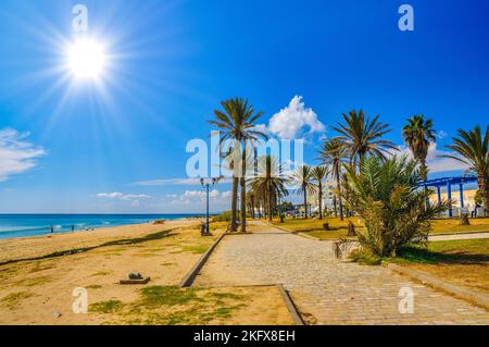 Dattelpalmen am sonnigen Strand in Hammamet Tunesien. Stockfoto