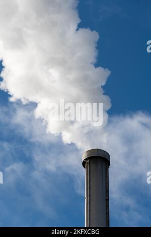 Nahaufnahme eines dichten weißen Rauchs, der aus einem Industrieschornstein vor einem blauen Himmel kommt Stockfoto
