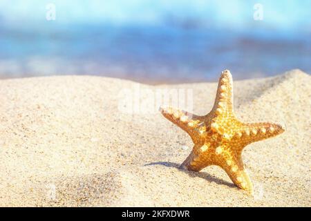 Seesterne im Sand vor dem Hintergrund der Brandung in den Strahlen der Sommersonne, Nahaufnahme Stockfoto