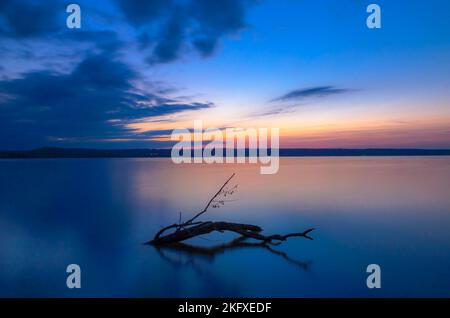 Driftwood im Abendlicht am Ammersee, Bayern, Deutschland, Europa Stockfoto