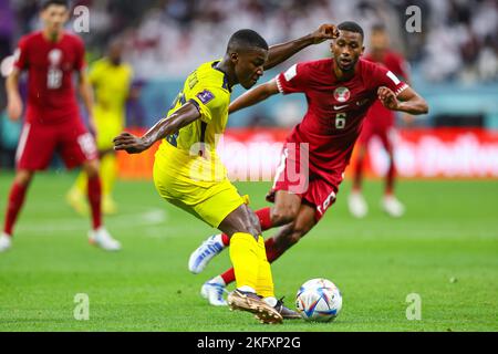 Dominguez Alexander während der FIFA Fußball-Weltmeisterschaft, Katar. , . In Al Khor, Katar. (Foto von Pawel Andrachiewicz/PressFocus/Sipa USA) Quelle: SIPA USA/Alamy Live News Stockfoto