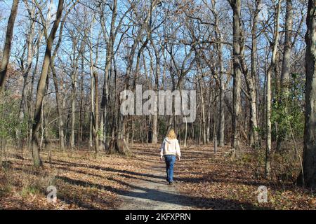 Ein Mann, der im Spätherbst auf dem des Plaines River Trail in des Plaines, Illinois, in Camp Ground Road Woods joggt Stockfoto