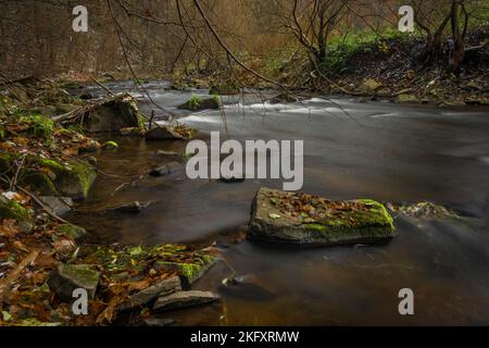 Loucka Fluss in der Nähe von Tisnov Stadt im Herbst bewölkt dunkel nass Tag Stockfoto