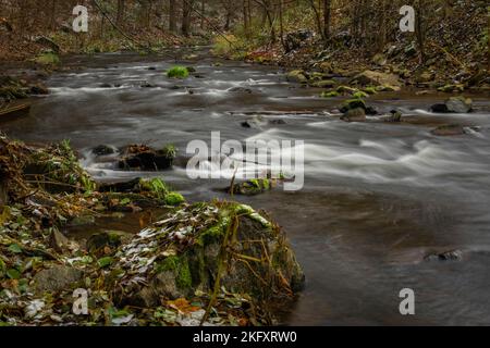 Loucka Fluss in der Nähe von Tisnov Stadt im Herbst bewölkt dunkel nass Tag Stockfoto