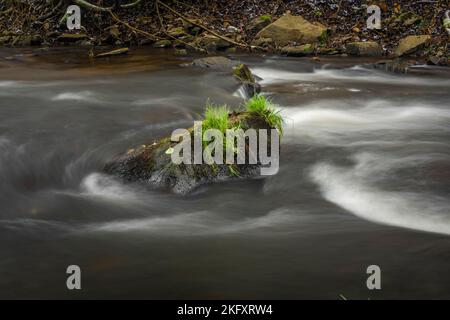 Loucka Fluss in der Nähe von Tisnov Stadt im Herbst bewölkt dunkel nass Tag Stockfoto