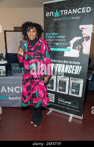 Los Angeles, USA. 19.. November 2022. Carrie Bernans nimmt 2022 American Music Awards Celebrity Gifting Suite von Steve Mitchell Teil MTG im Woma's Club of Hollywood, Los Angeles, CA, November 19. 2022 Quelle: Eugene Powers/Alamy Live News Stockfoto