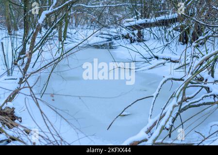 Kleiner gefrorener Teich im Wald, unscharf fotografiert, Bokeh, abstrakt, verschneit Stockfoto