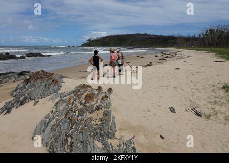 Frauen, die mit ihren Hunden am Strand spazieren, Cape Conran Coastal Park, Victoria, Australien Stockfoto