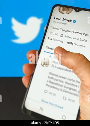 Twitter-Account von Elon Musk auf einem Smartphone-Bildschirm mit Twitter-Logo im Hintergrund. Alternativer Social-Media-Service von Mastodon. Stockfoto