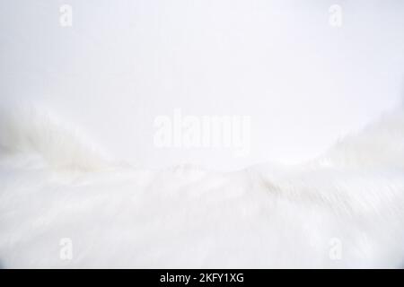 Weißer flauschiger Teppich und Hintergrund mit Platz zum Verzieren von Text, weicher Fokus Stockfoto