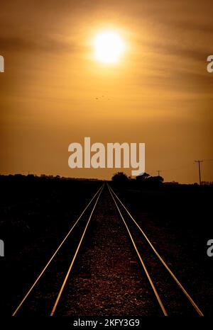 Parallele Bahngleise der 15 Meter breiten Romney, Hythe & Dymchurch Railway in Kent, die in die untergehende Sonne fahren. Stockfoto