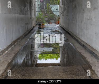 Eine große regen Pfütze Pools auf dem Boden in Dürre geritten Los Angeles. Stockfoto