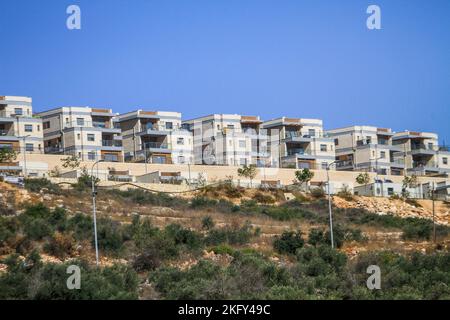 Salfit, Palästina. 20.. November 2022. Blick auf neue Gebäude in der jüdischen Siedlung Bruchin, in der Nähe des Dorfes Bruqin, westlich von Salfit, im besetzten Westjordanland. (Foto von Nasser Ishtayeh/SOPA Images/Sipa USA) Quelle: SIPA USA/Alamy Live News Stockfoto