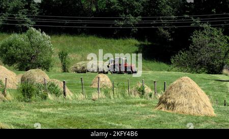 Mann auf einem Traktor auf einem Feld in Serbien in der Nähe von Prijepolje Stockfoto