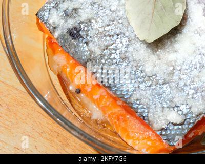 Selektiver Fokus auf Orangenfilet von gesalzenem Lachs. Stücke gesalzener Lachs in einer Glasschüssel. Stockfoto