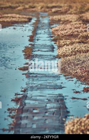 Historischer Stockenstieg im Wattenmeer in Norddeutschland. Hochwertige Fotos Stockfoto