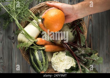 Unerkennbare gekürzte Hand hält kleinen OrangenKürbis gegen einen Korb mit leckerem, saftigem rohem Gemüse auf einem Holztisch. Rohkost auspacken Stockfoto